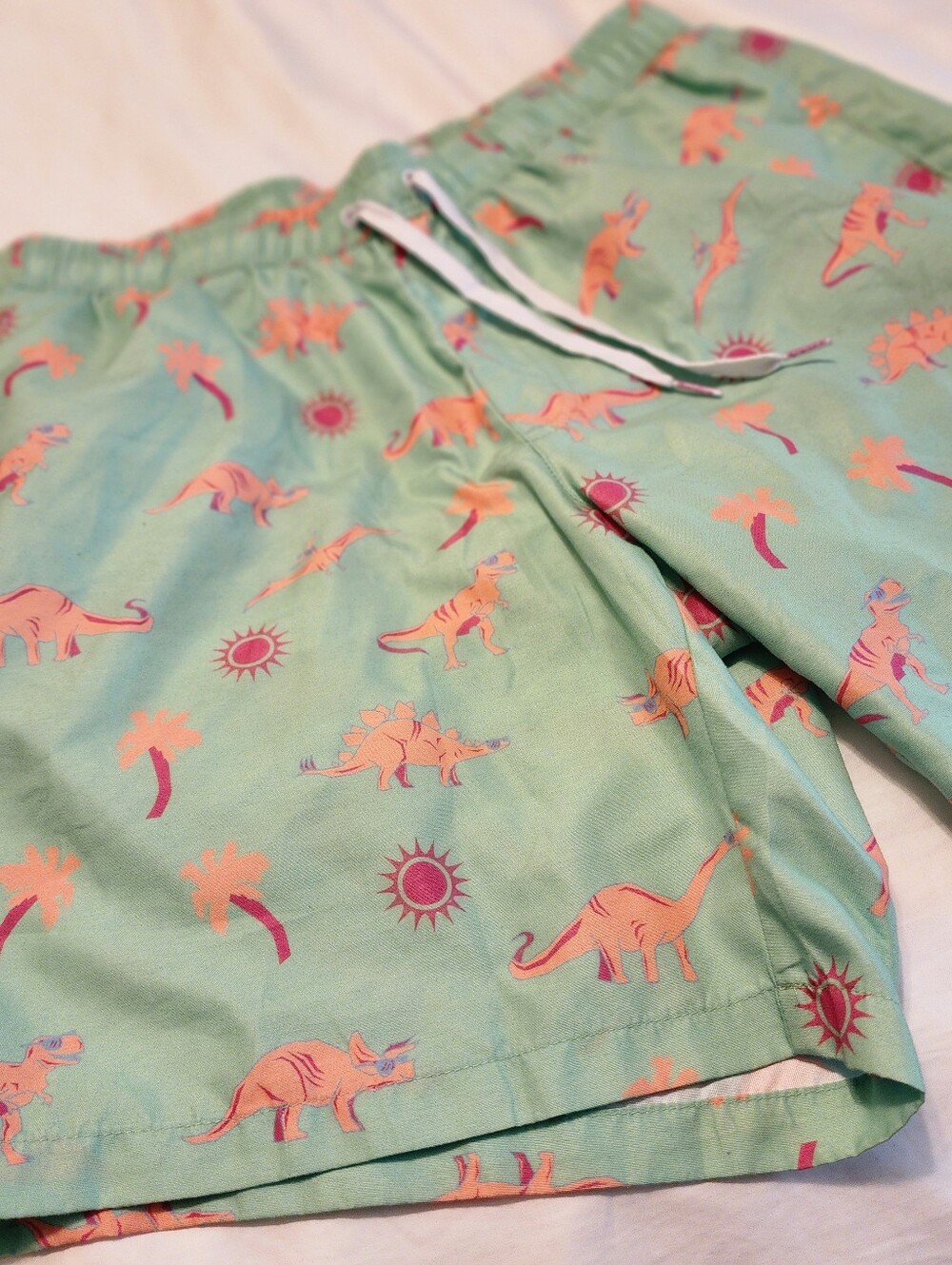 Tipsy Elves Dino Desert Swim Trunks / Size Large